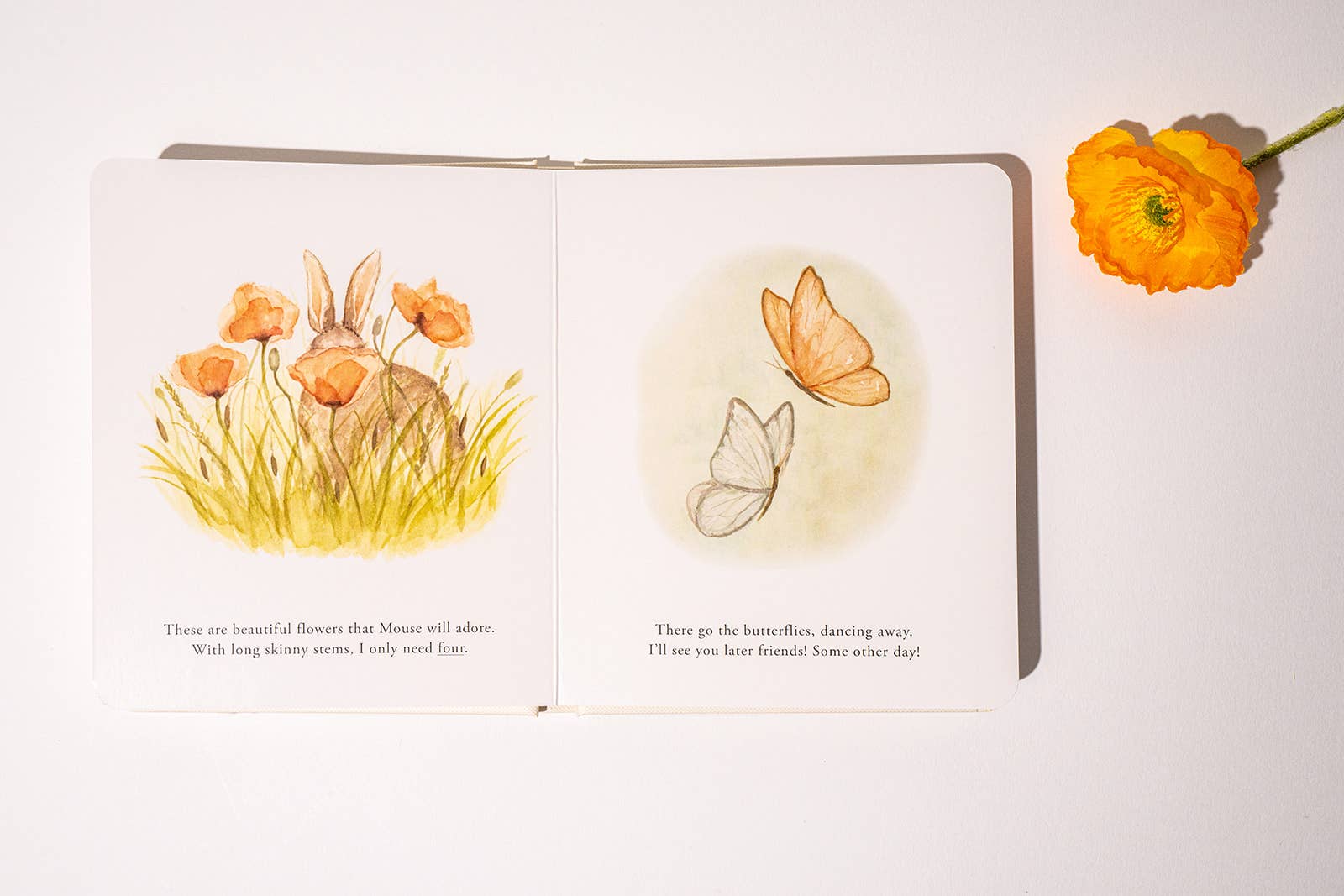 Our Little Adventures Book Box Set