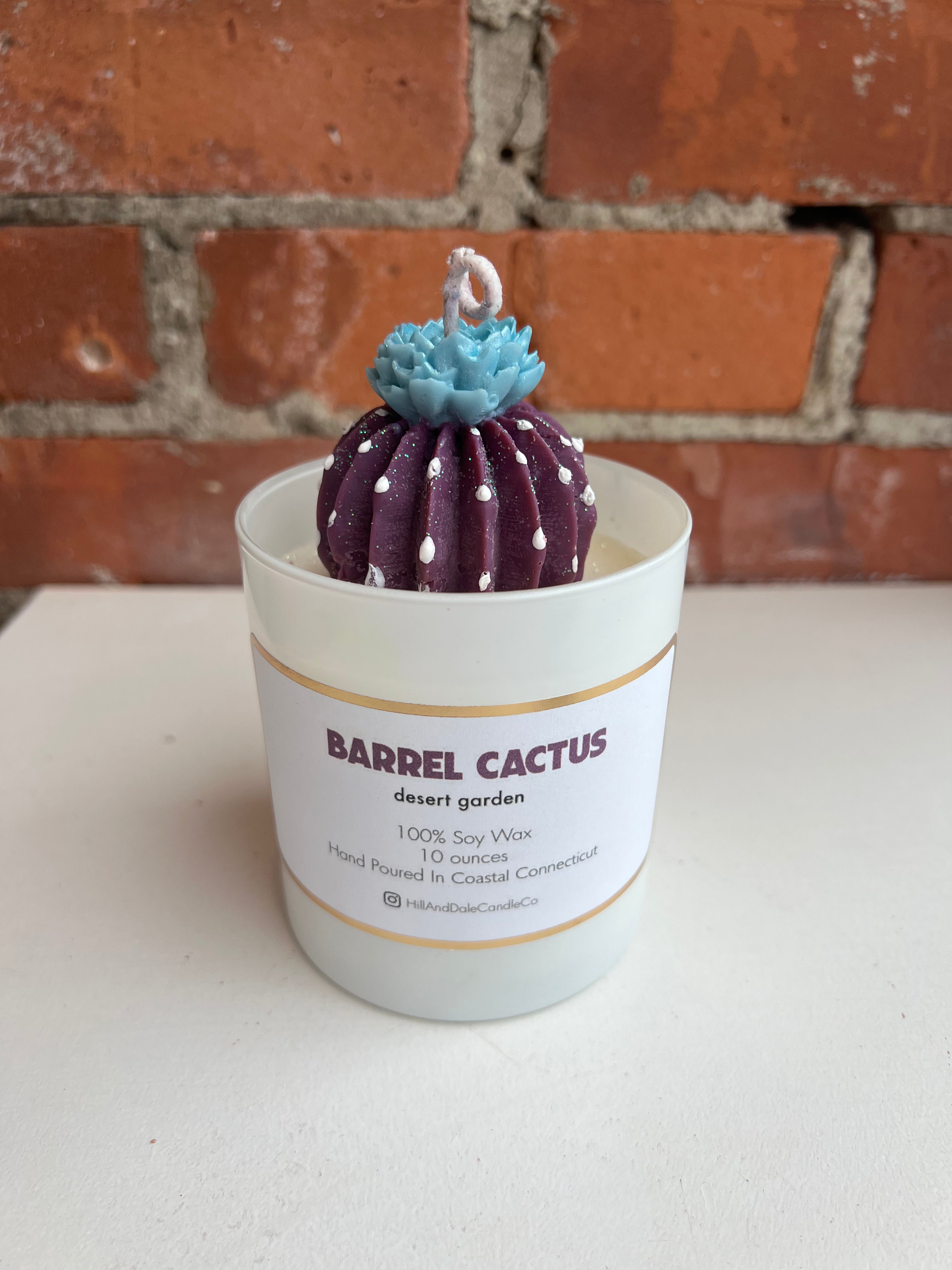 Barrel Cactus Candle