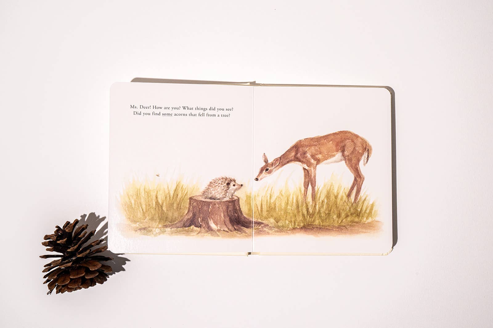 Our Little Adventures Book Box Set