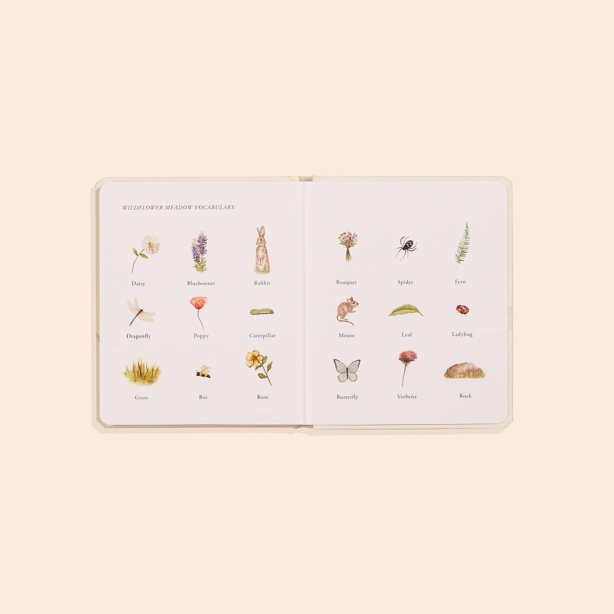 Our Little Adventures Book Box Set