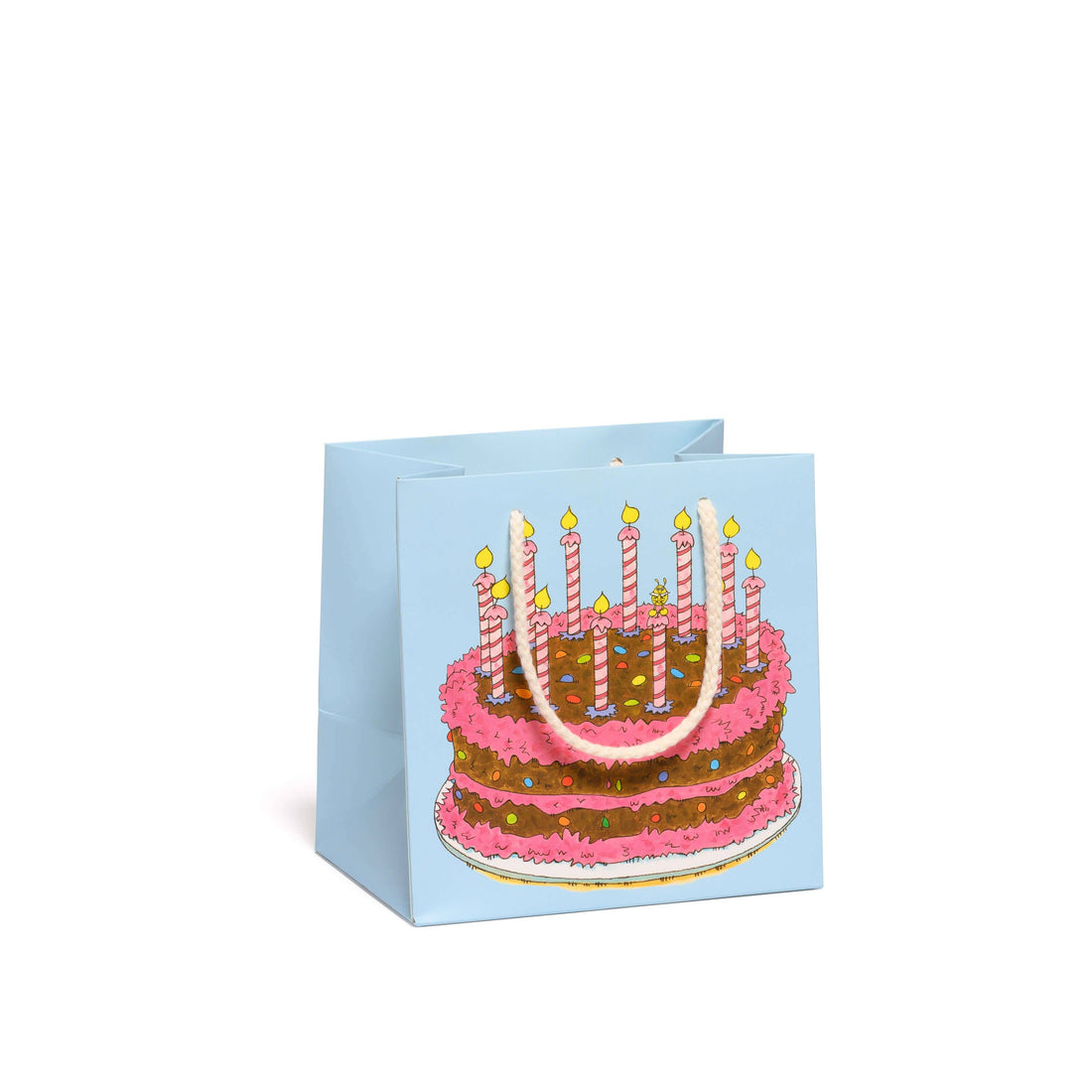 Mini Cake Birthday Gift Bag
