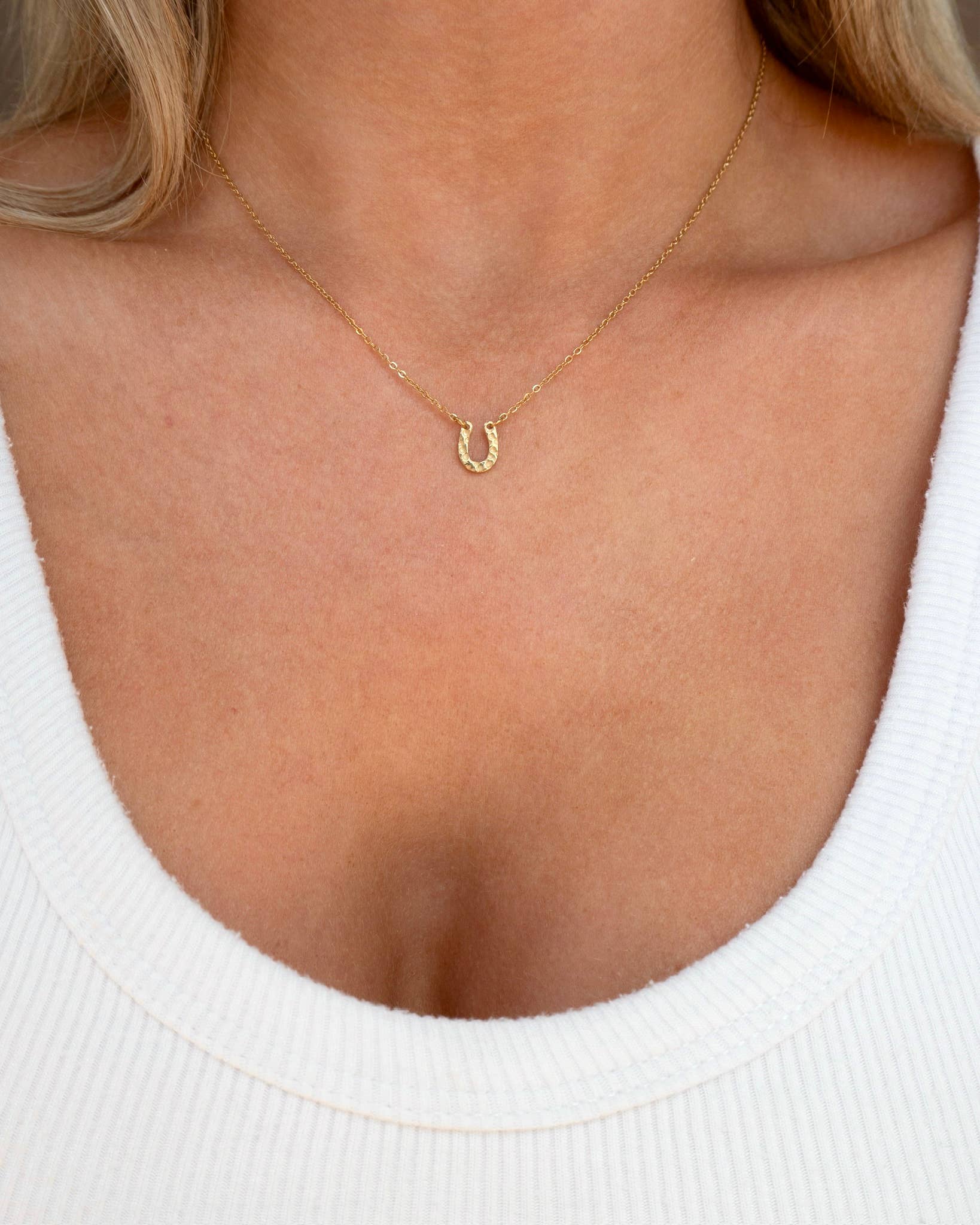 Rodeo Necklace