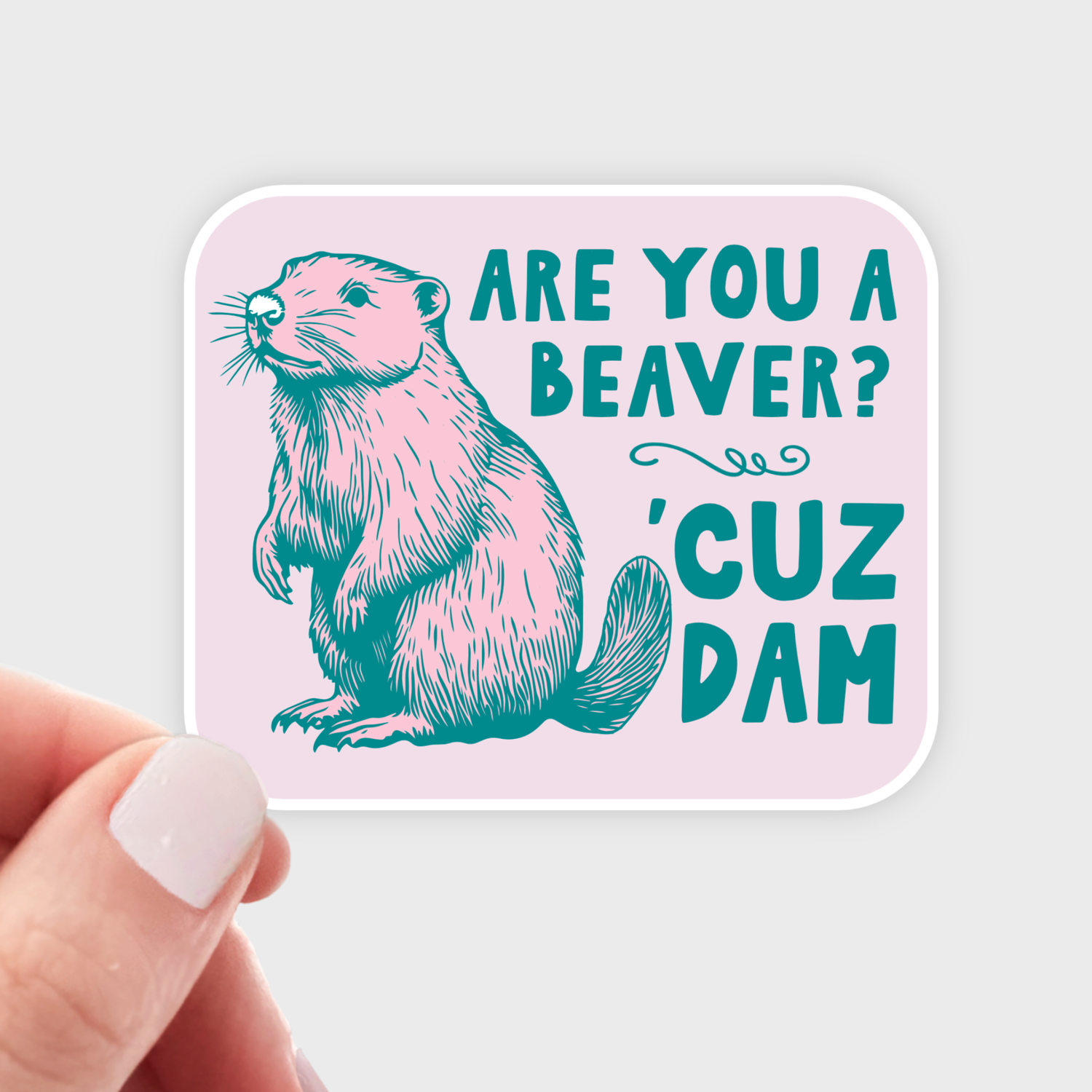 Are You a Beaver &