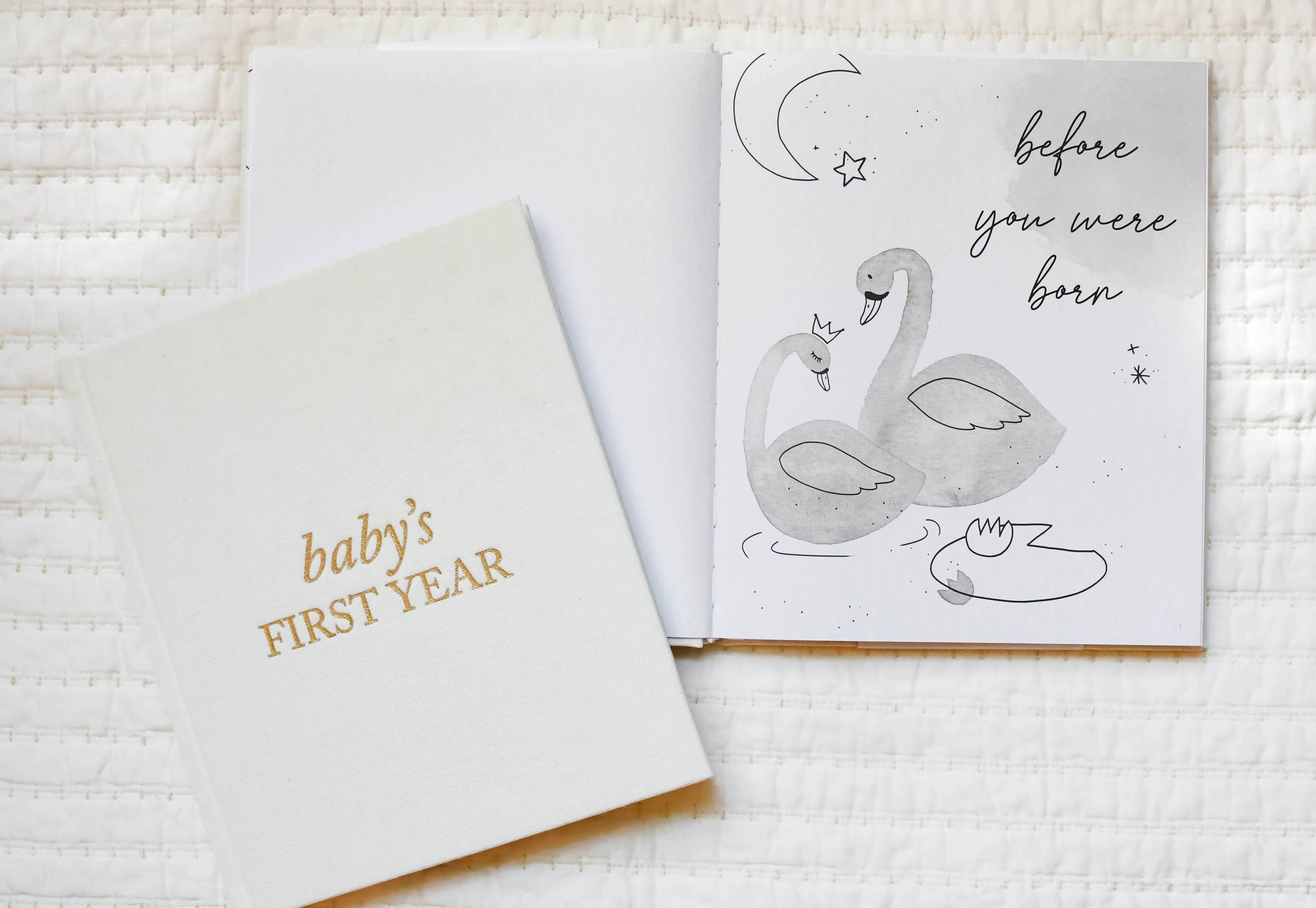 The First Year Journal