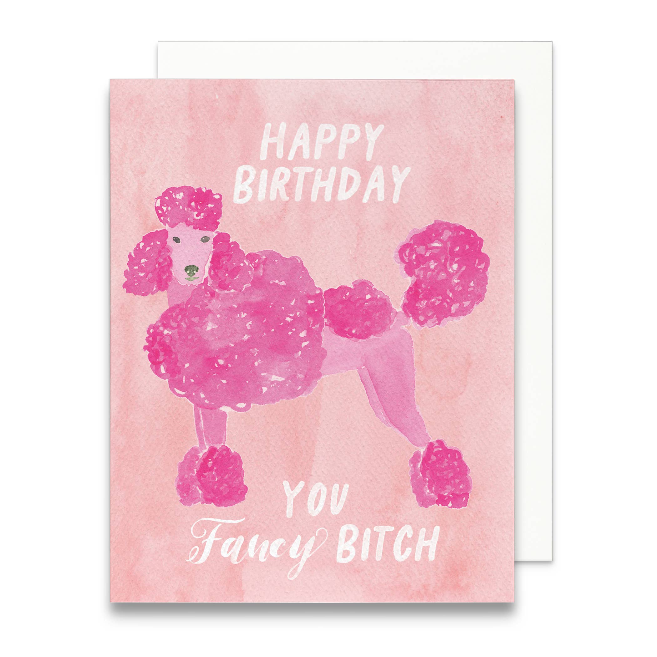 The Pink Poodle Birthday