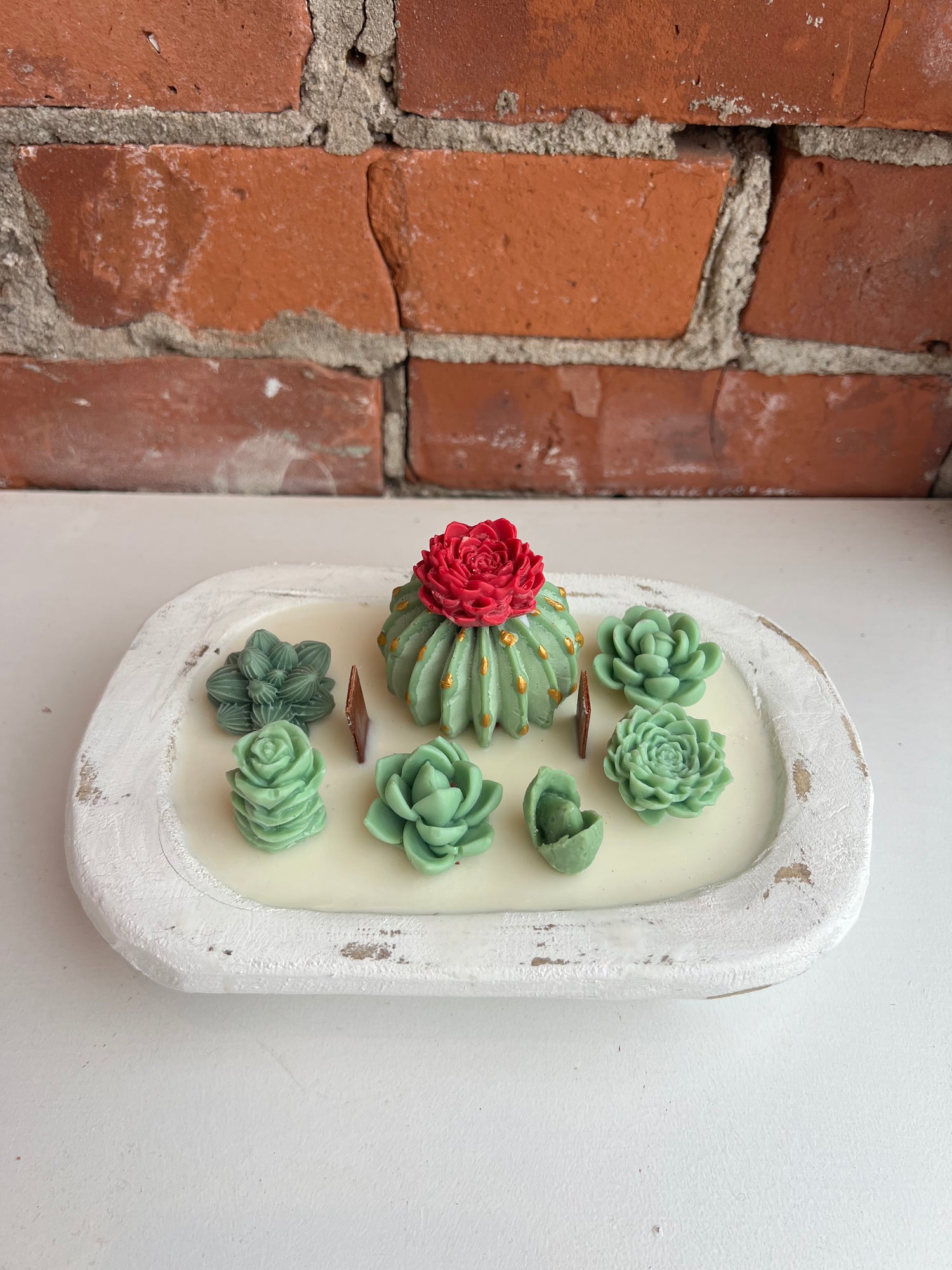 Succulent Dough Bowl