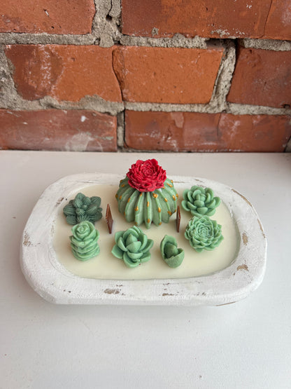 Succulent Dough Bowl