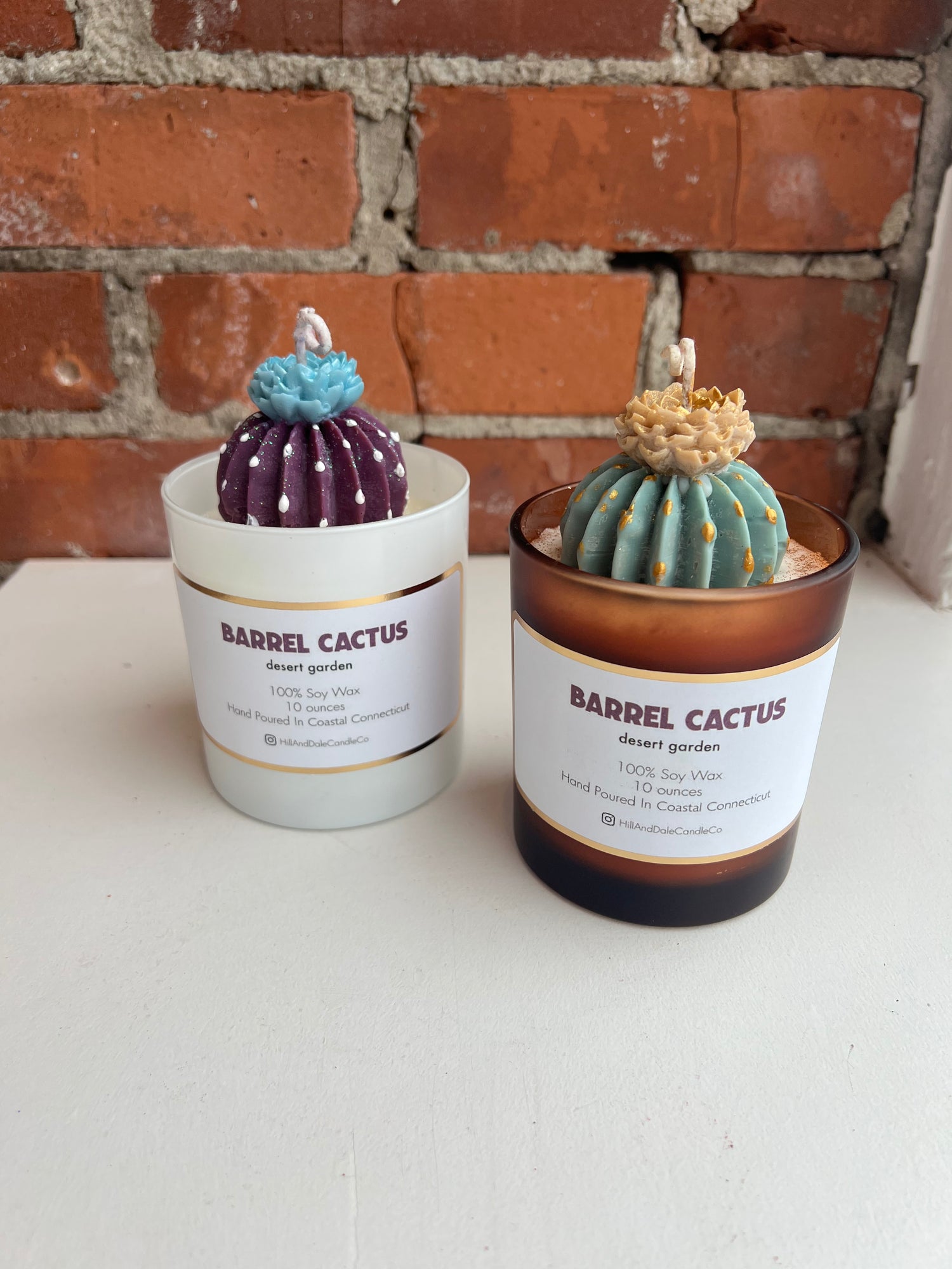 Barrel Cactus Candle