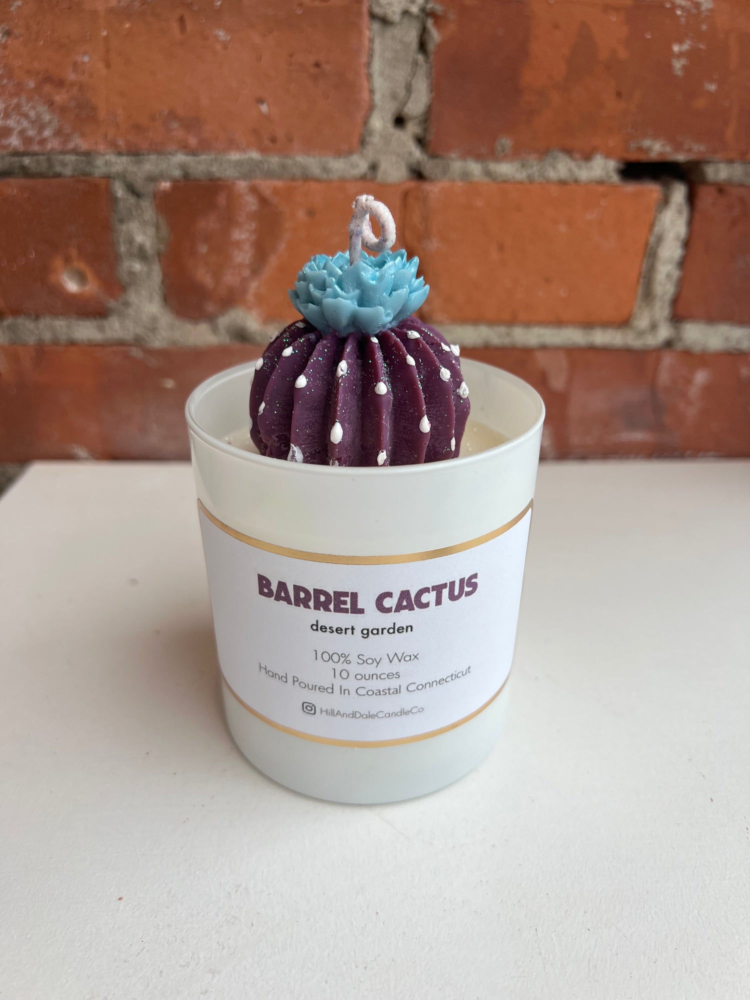 Barrel Cactus Candle