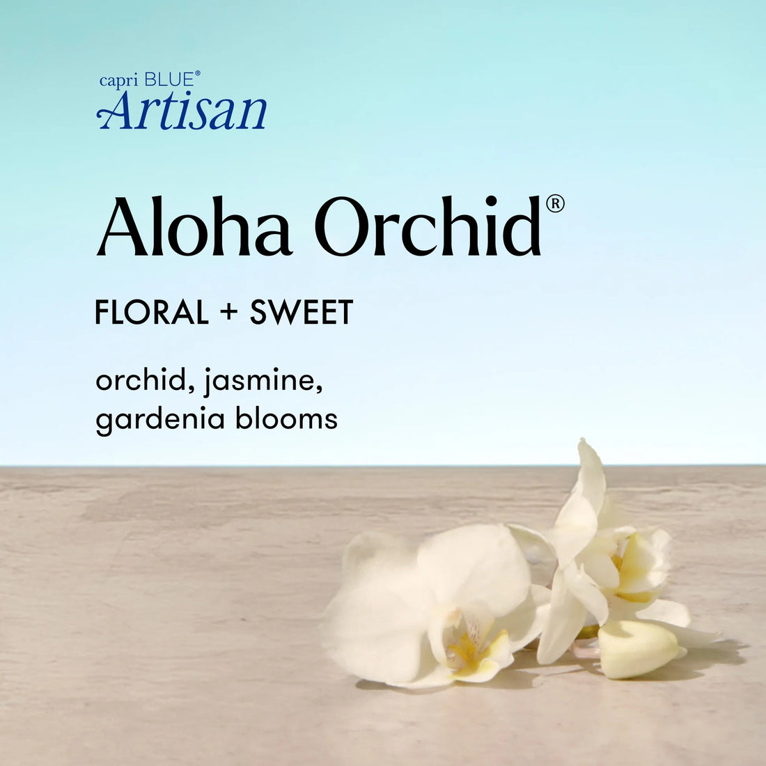 Aloha Orchid Luce d&