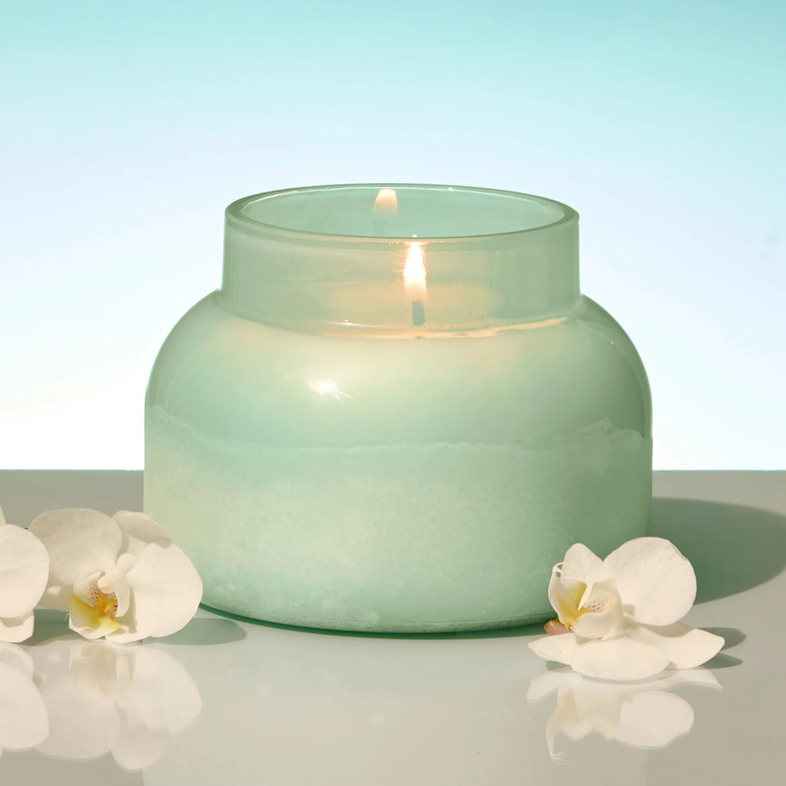 Aloha Orchid Luce d&
