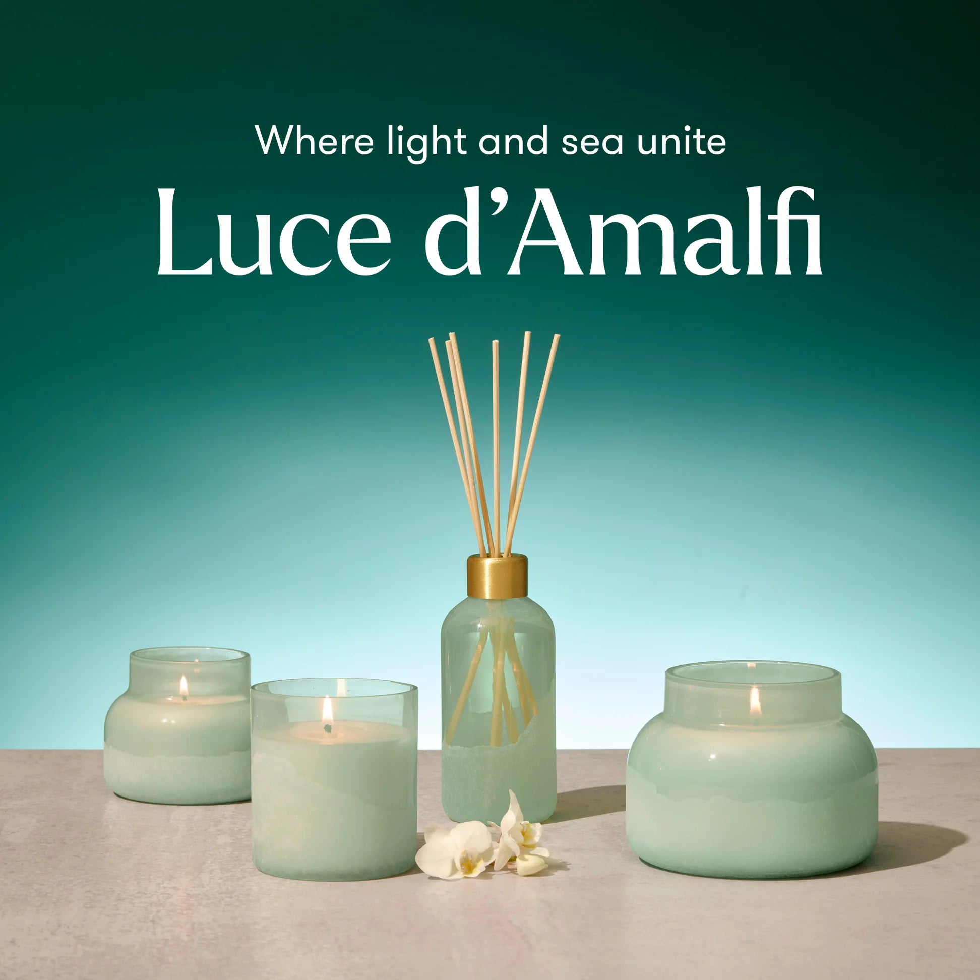 Aloha Orchid Luce d&