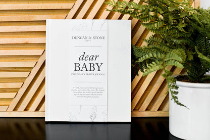 Dear Baby: A Pregnancy Journal