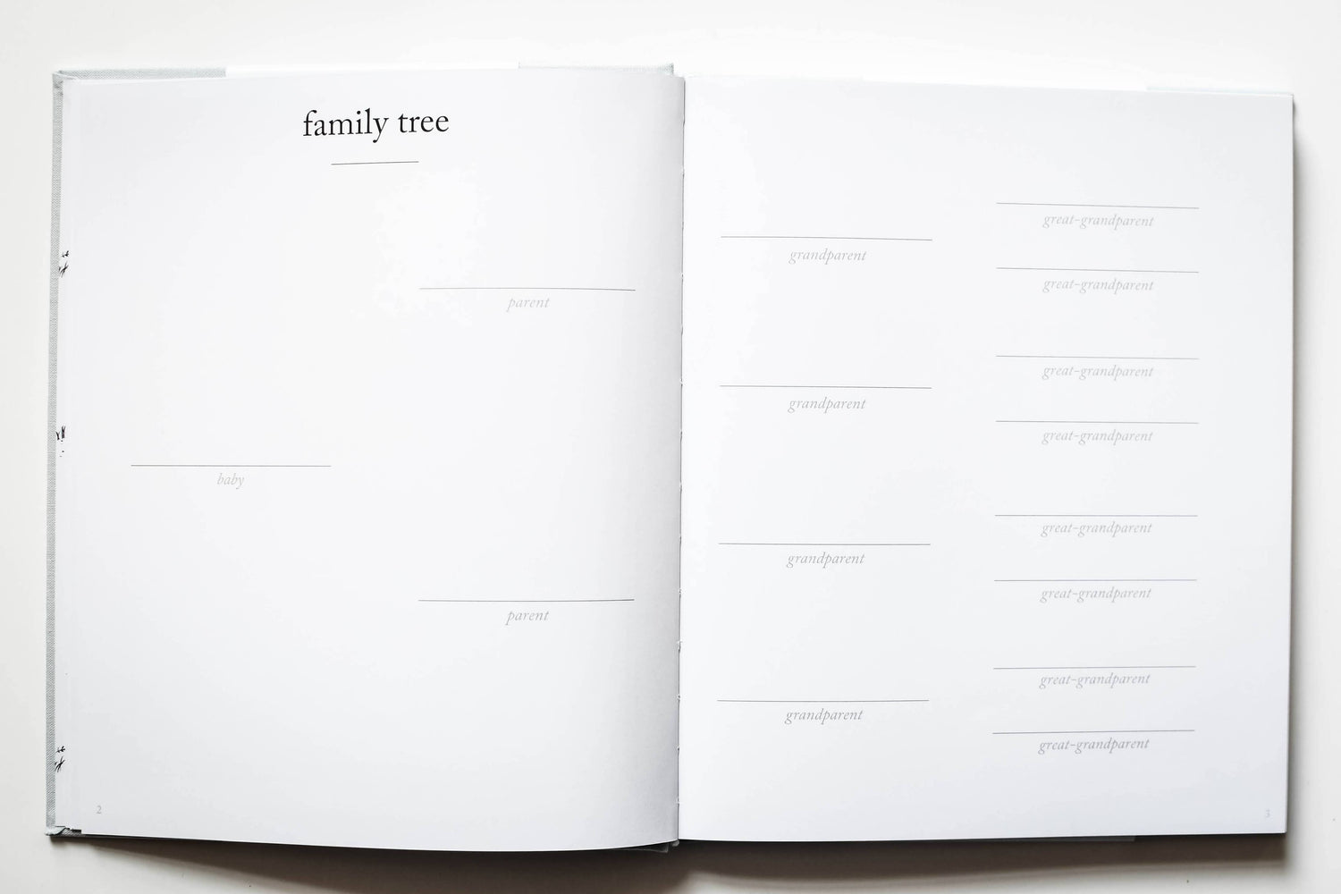 The First Year Journal