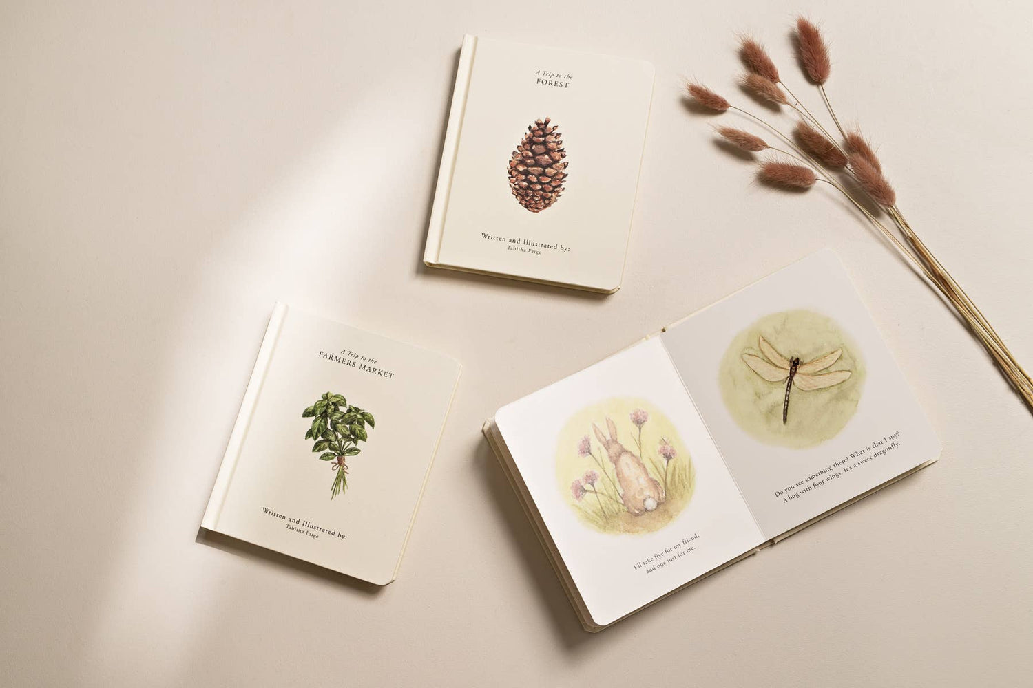 Our Little Adventures Book Box Set
