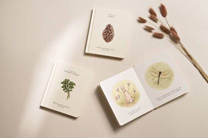 Our Little Adventures Book Box Set