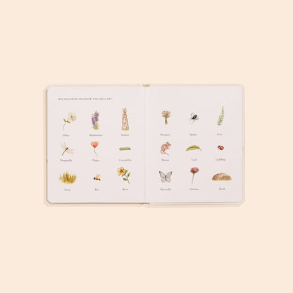 Our Little Adventures Book Box Set