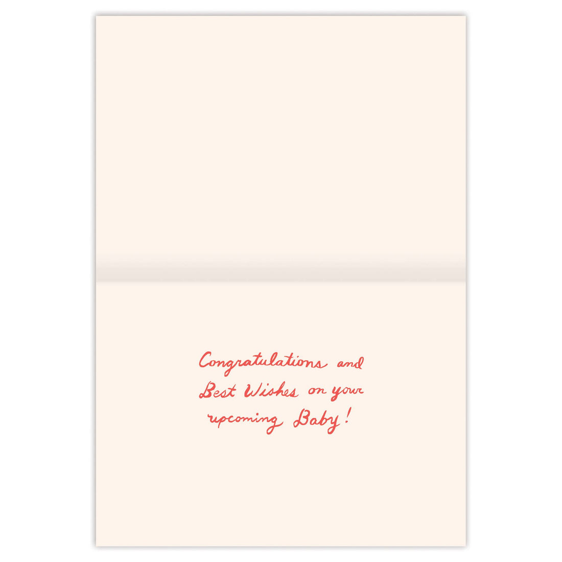 Stork Special Delivery Baby Shower Card