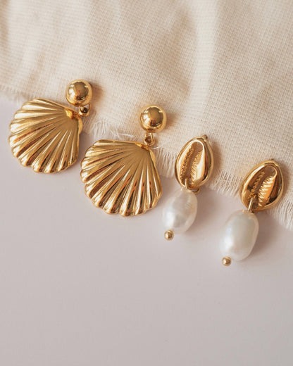 Seashell Earrings