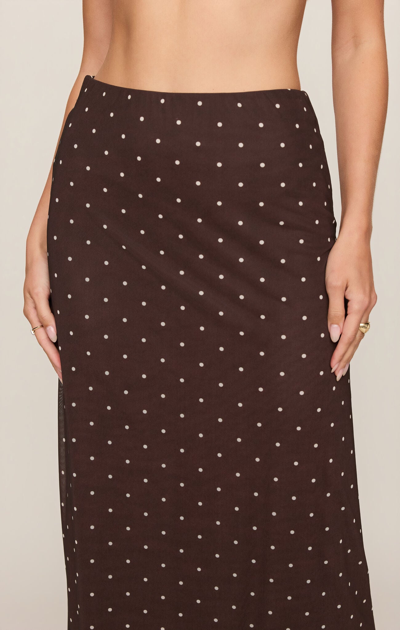 Eda Polka Dot Mesh Midi Skirt