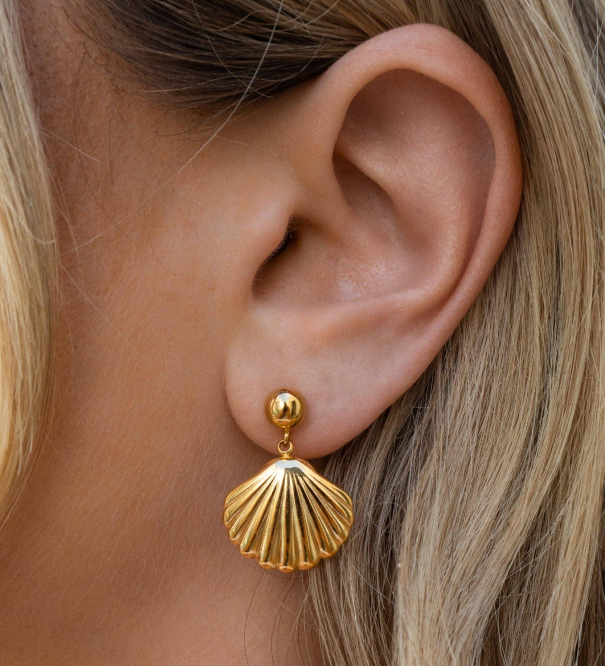 Seashell Earrings